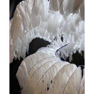 Christina Brouwer